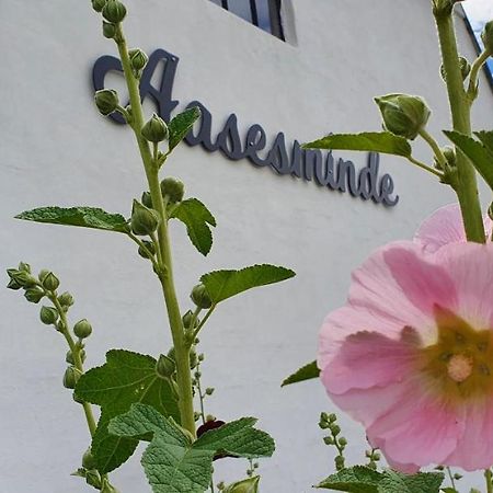 Aasesminde Bed & Breakfast Faaborg Exterior photo