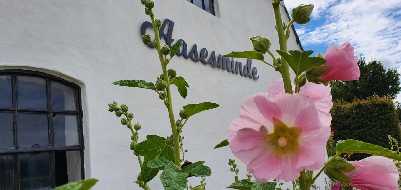 Aasesminde Bed & Breakfast Faaborg Exterior photo